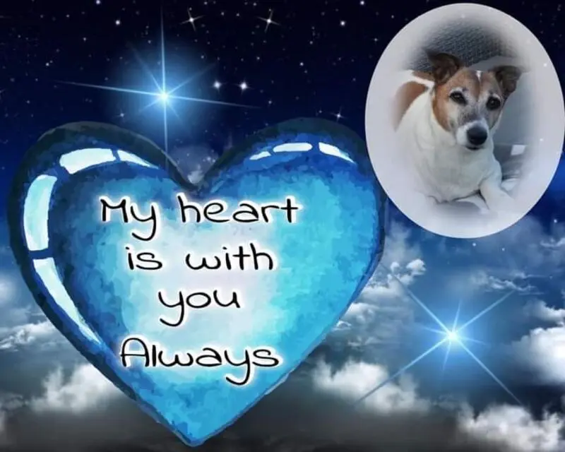 Condolence image of ❤ Ich liebe Dich ❤