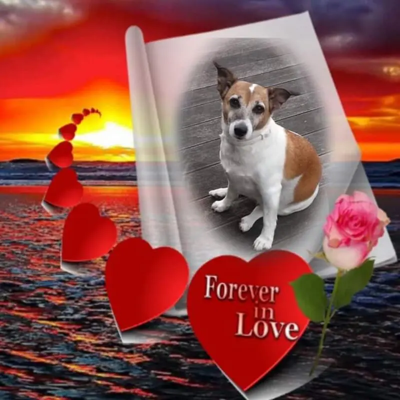 Condolence image of ❤ Ich liebe Dich ❤