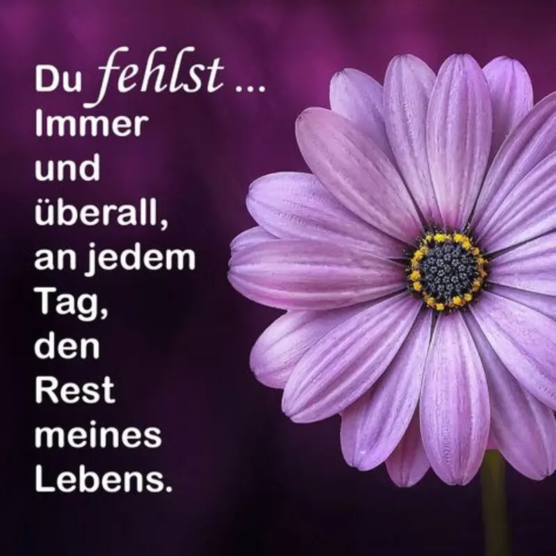 Condolence image of ❤ Ich liebe Dich ❤
