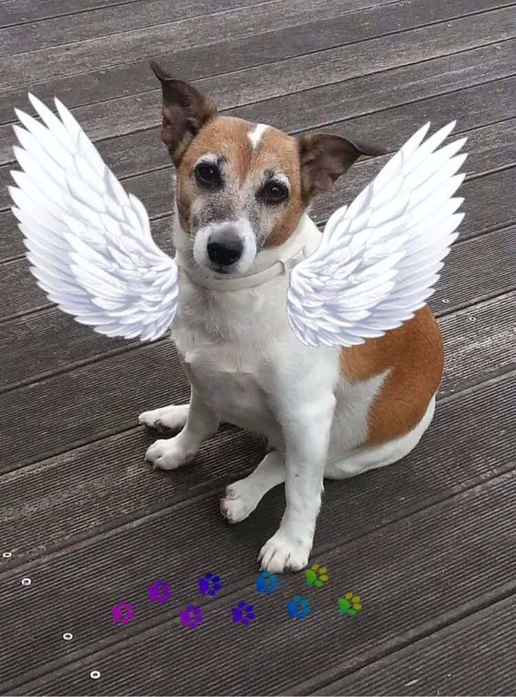 Condolence image of ❤ Ich liebe Dich ❤