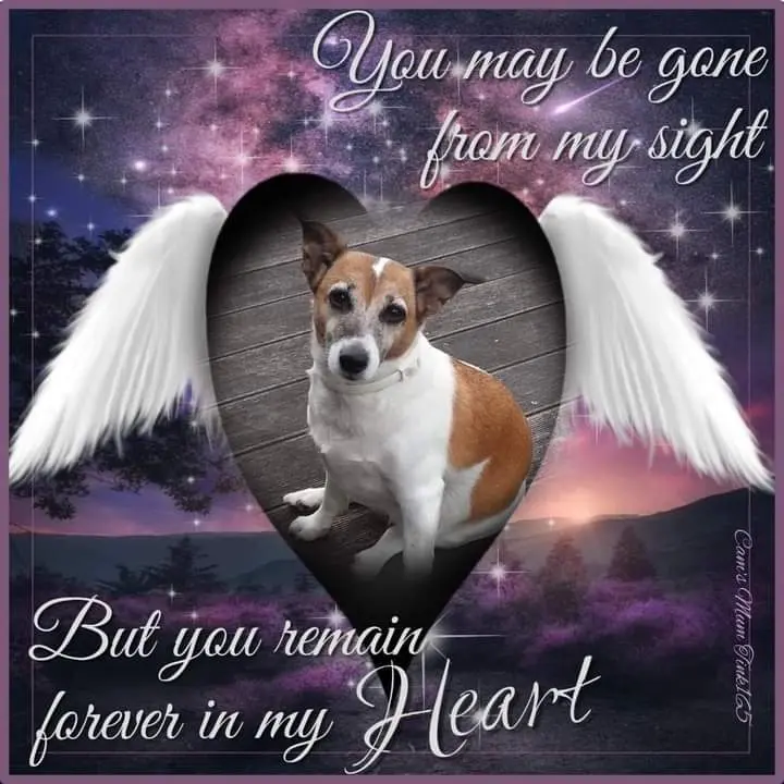 Condolence image of ❤ Ich liebe Dich ❤