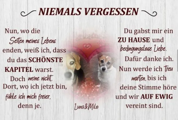 Condolence image of Sabine mit Luna&Milo tief in meinem Herzen ❤
