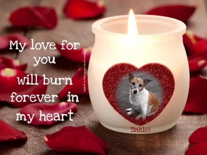 Condolence image of ❤Ich liebe Dich ❤ 