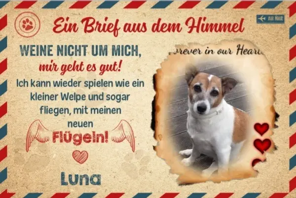 Condolence image of Dein Frauchen ❤ 
