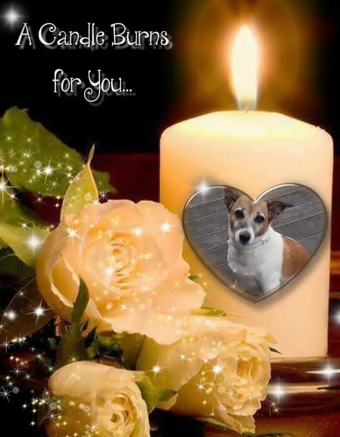 Condolence image of ❤ Ich liebe Dich ❤