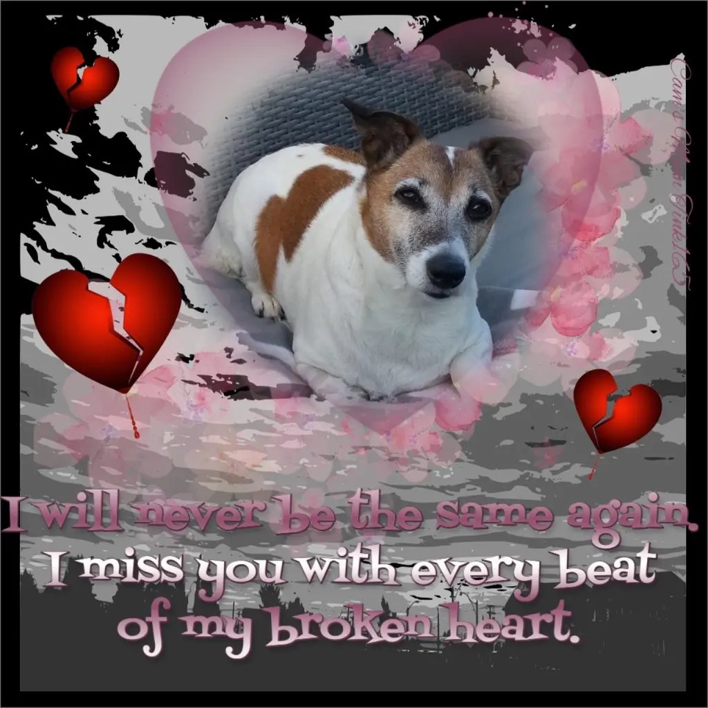 Condolence image of Steffi