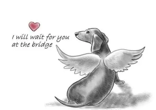 Condolence image of ❤ Ich liebe Dich ❤