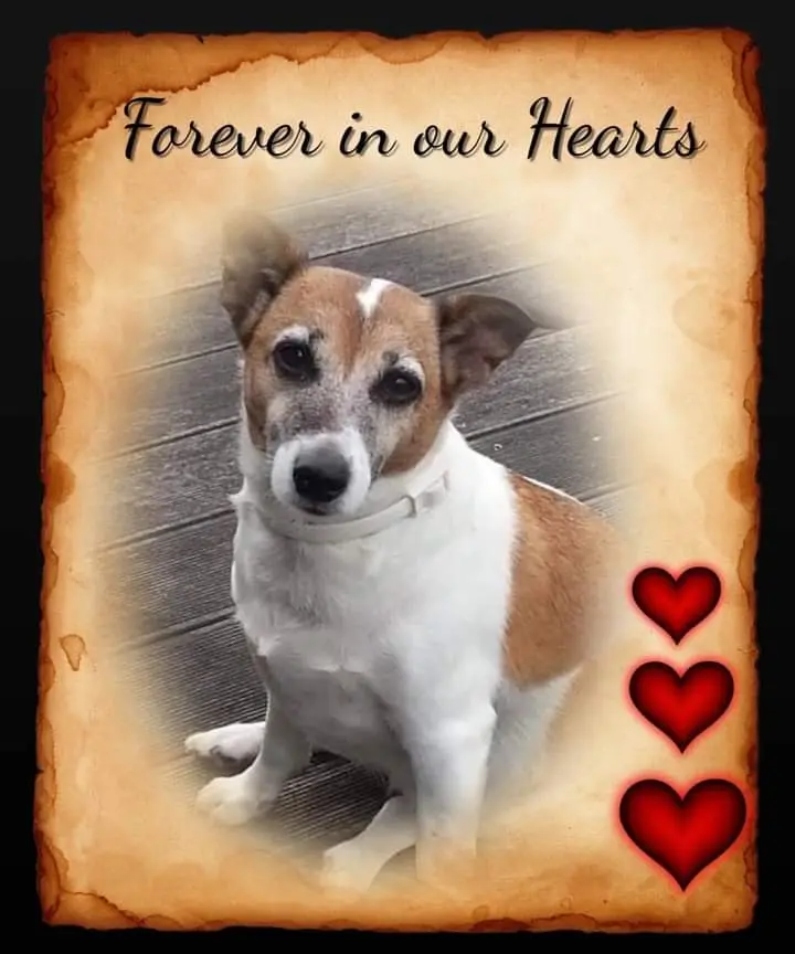 Condolence image of ❤ Ich liebe Dich ❤