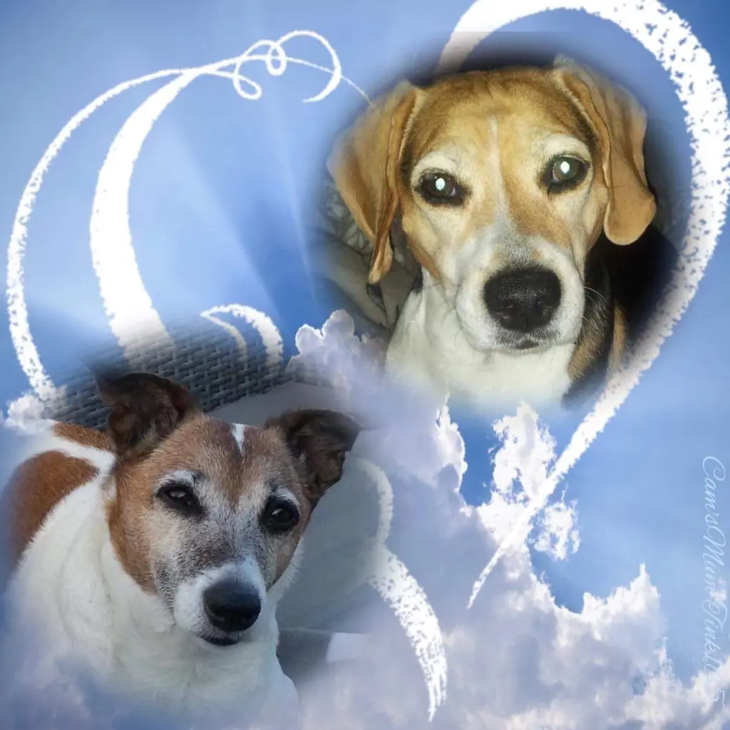 Condolence image of ❤ Ich liebe Dich ❤