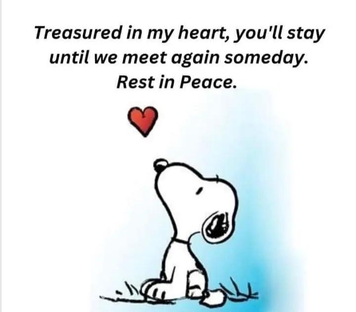 Condolence image of ❤ Ich liebe Dich ❤