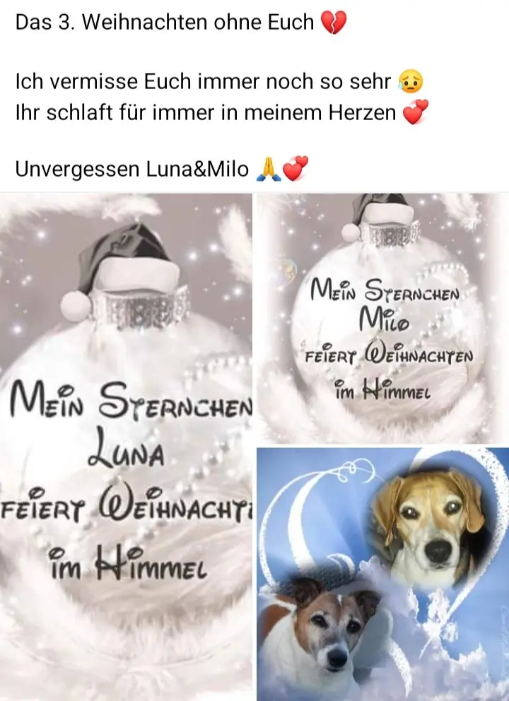 Condolence image of Sabine mit Luna & Milo tief im Herzen 