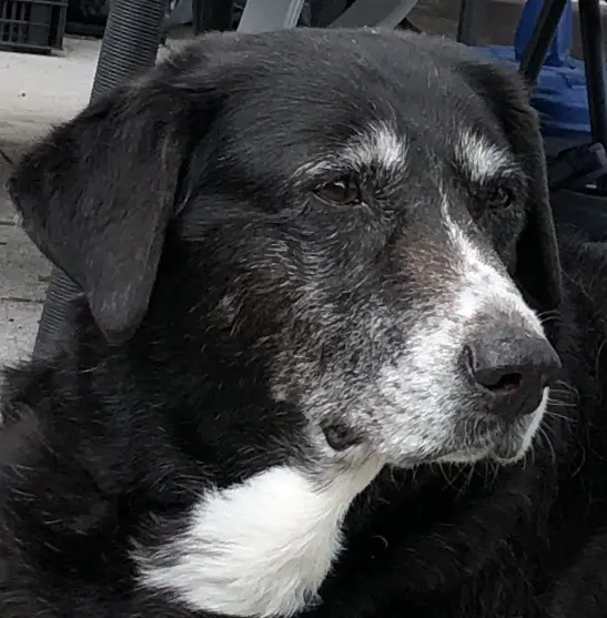 Condolence image of Deine Mama 