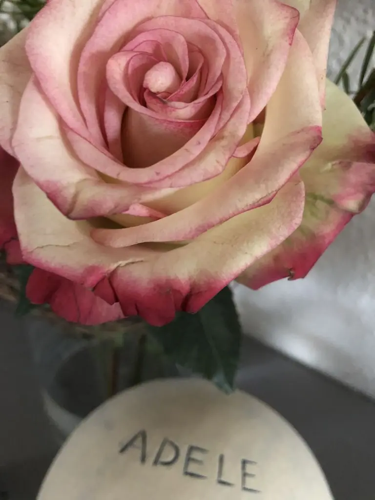 Condolence image of Deine Mama 