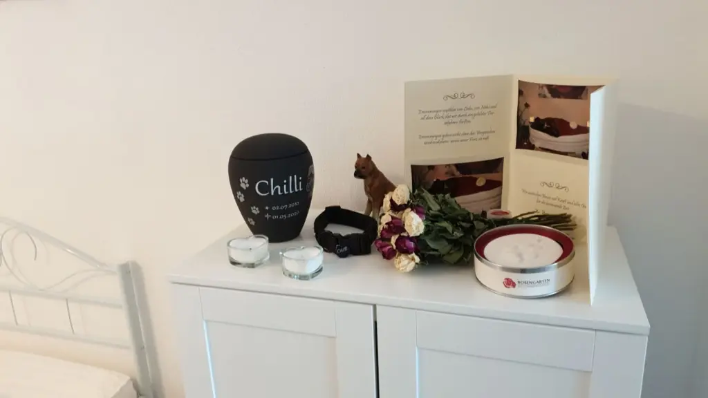 Image from Chilli