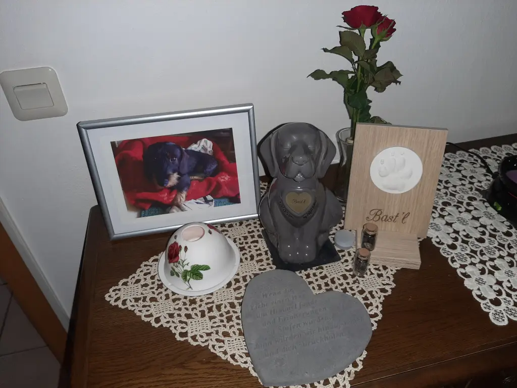 Image from Bast'l