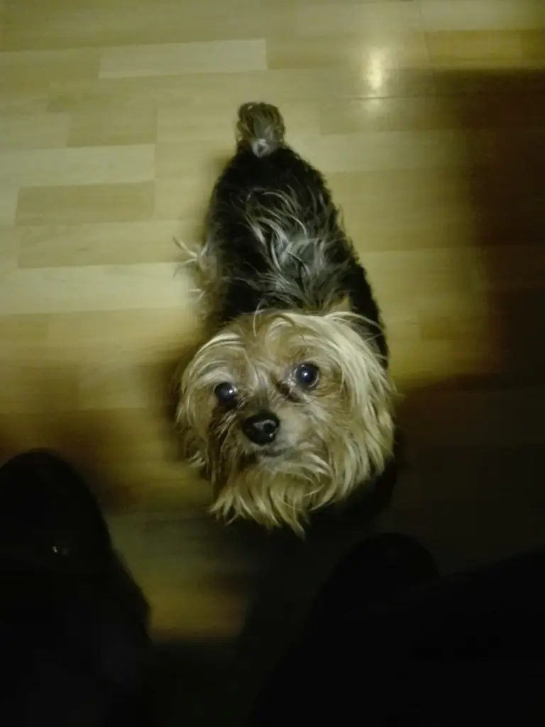 Image from Max