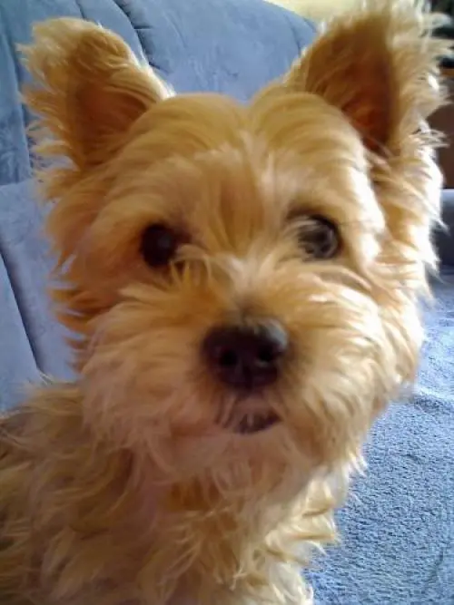 Image from Mandy (kleine Zauberfee)