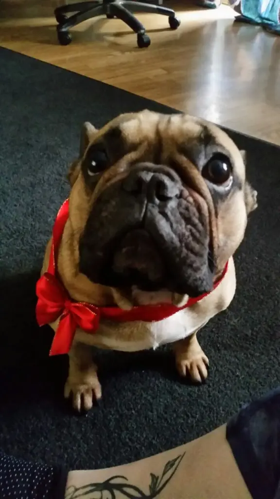 Image from Lola