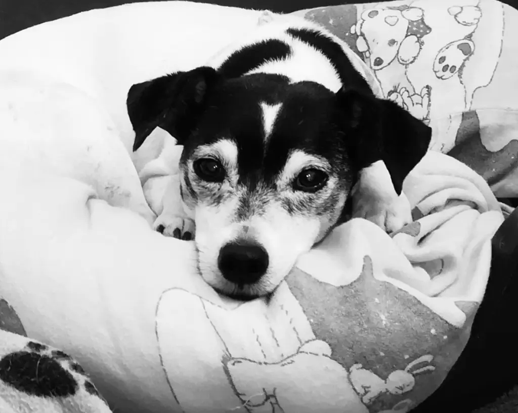 Image from Dasty ♡