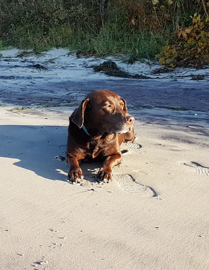 Andachtsbild von Silvana