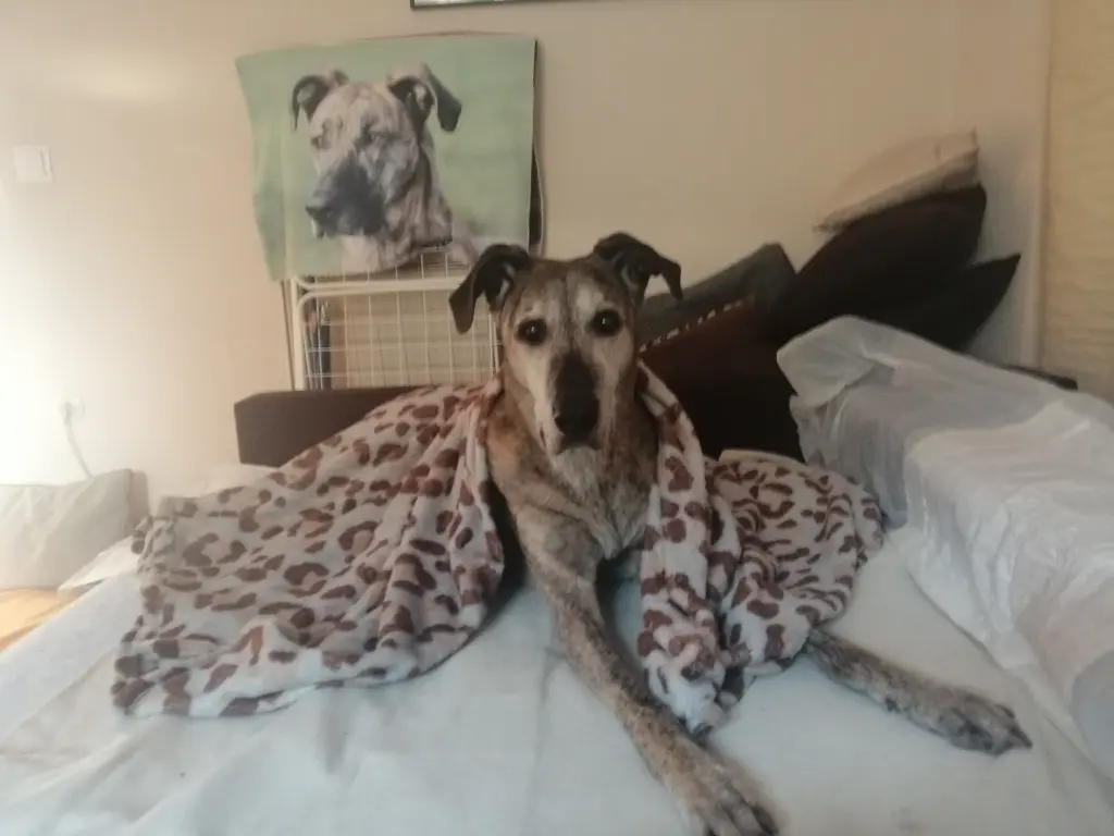 Bild von Kimbaly Marie