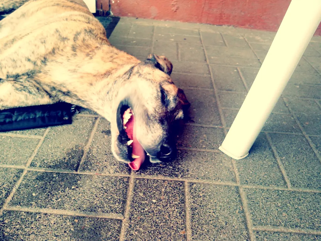 Bild von Kimbaly Marie