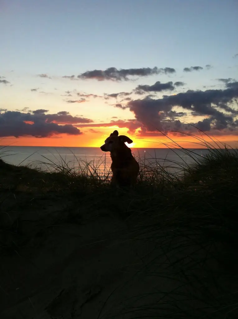 Condolence image of Volker