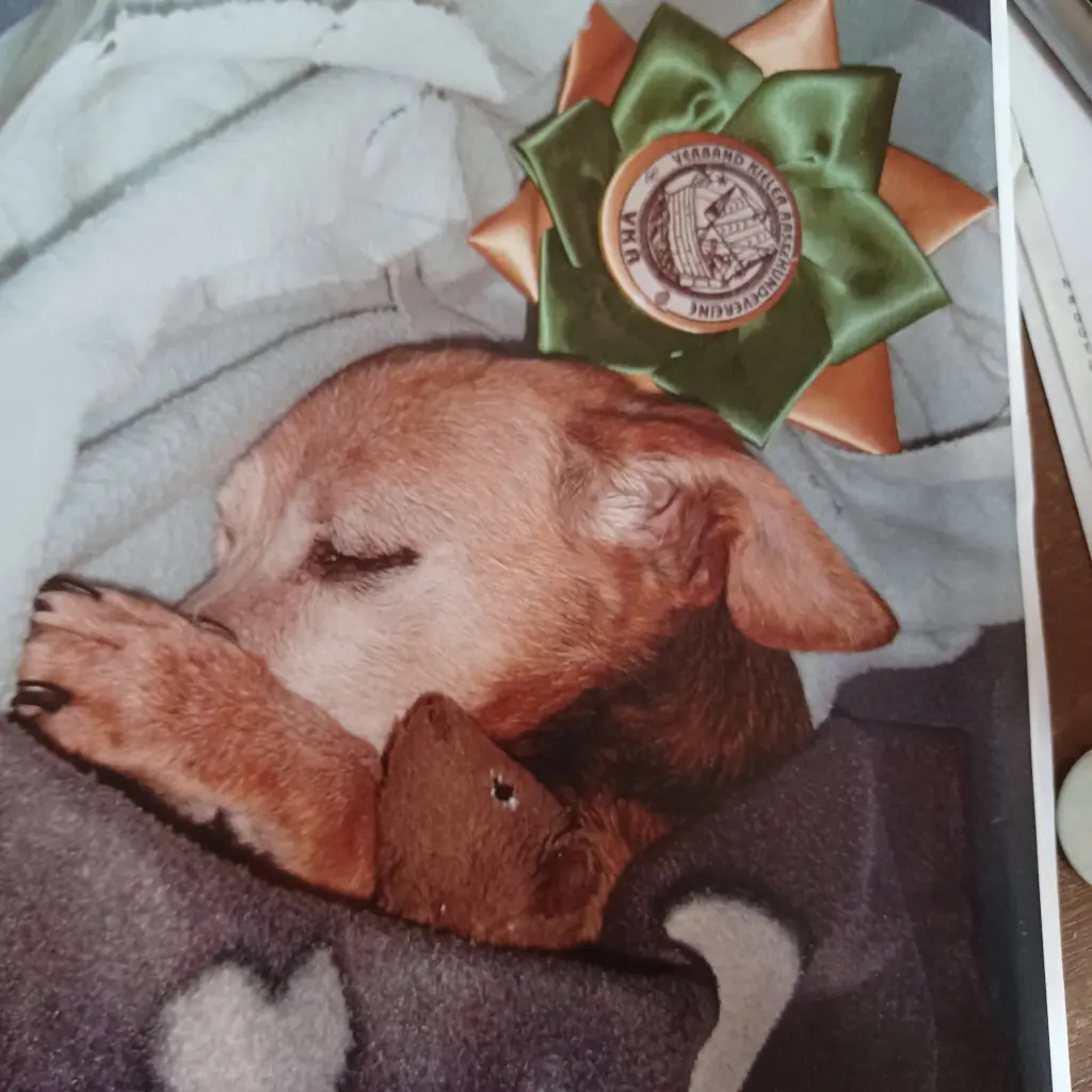 Condolence image of volker