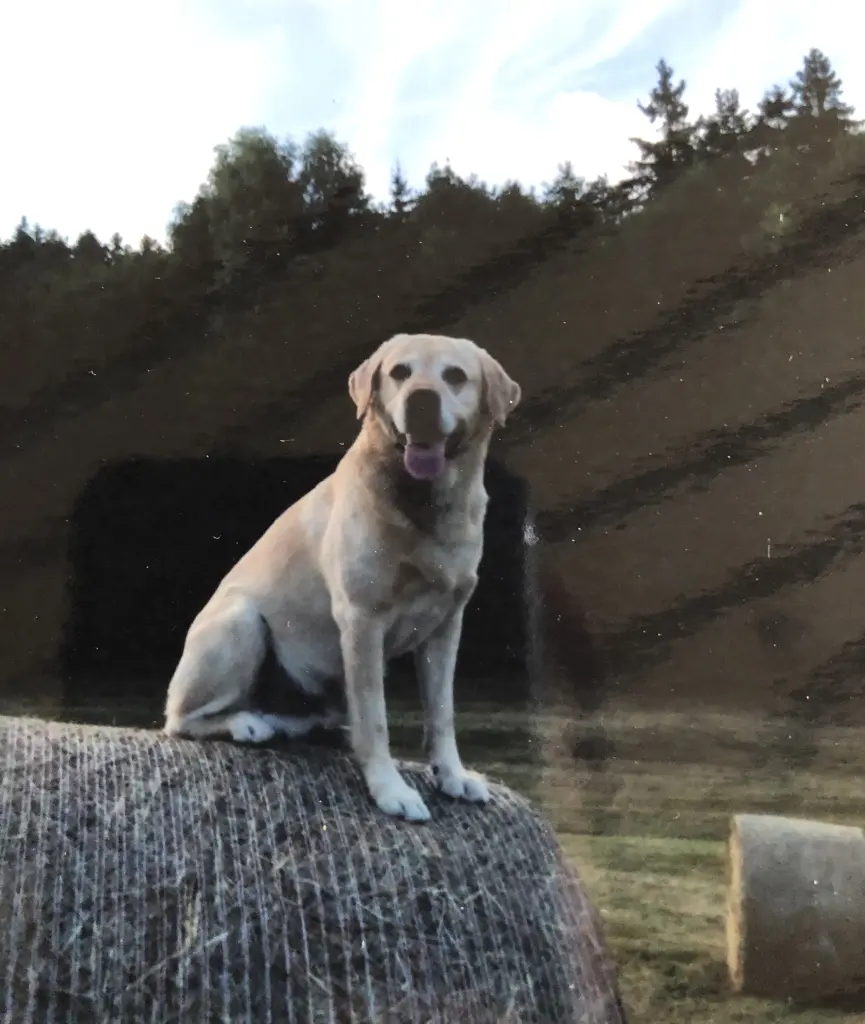 Condolence image of Claudia 