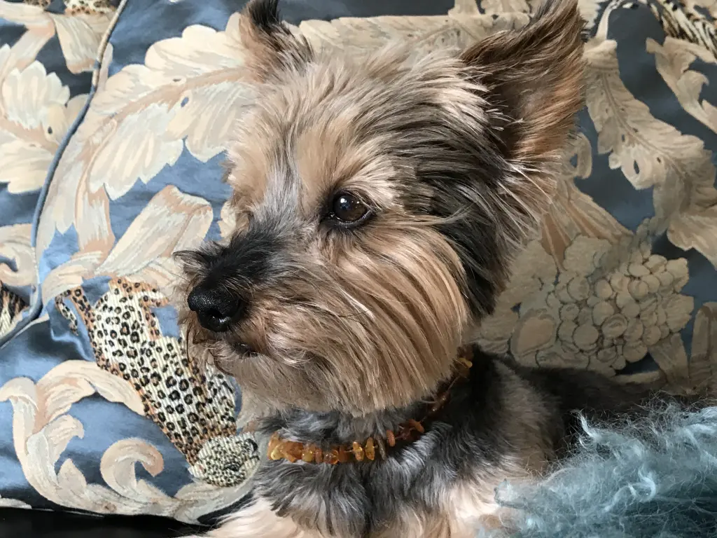 Image from Tessa