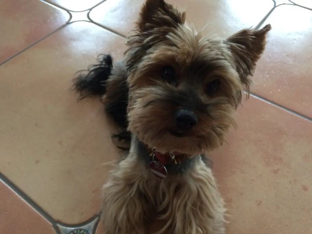 Image from Tessa