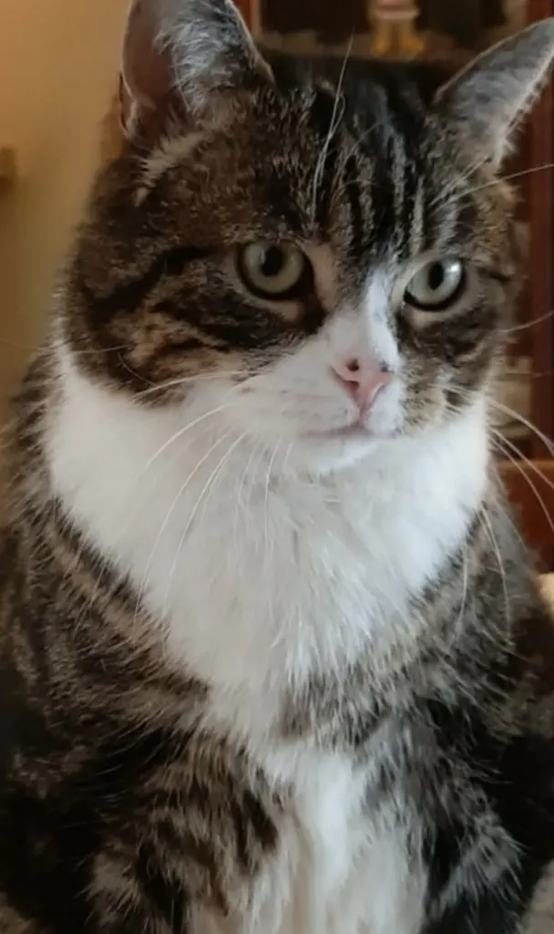 Andachtsbild von Andrea mit Mausi im Herzen