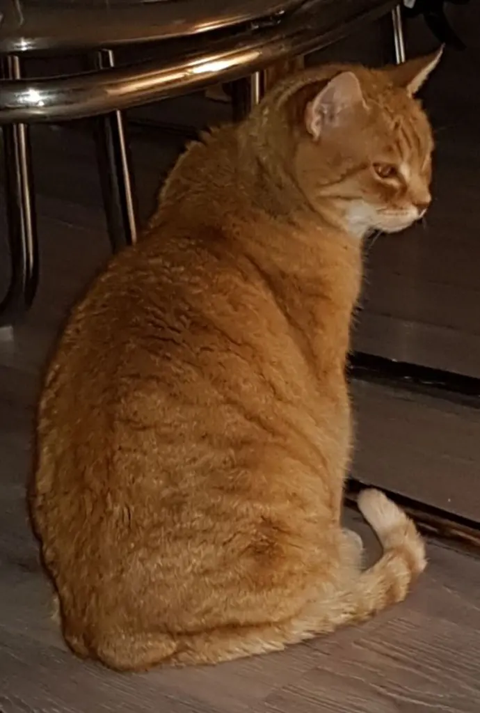 Andachtsbild von Christina