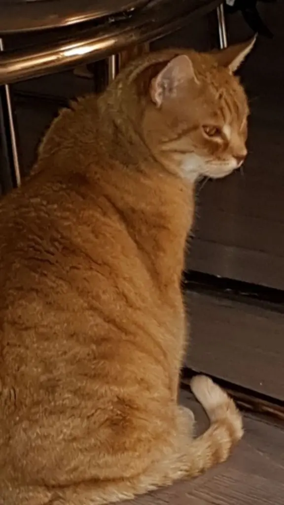 Andachtsbild von Christina