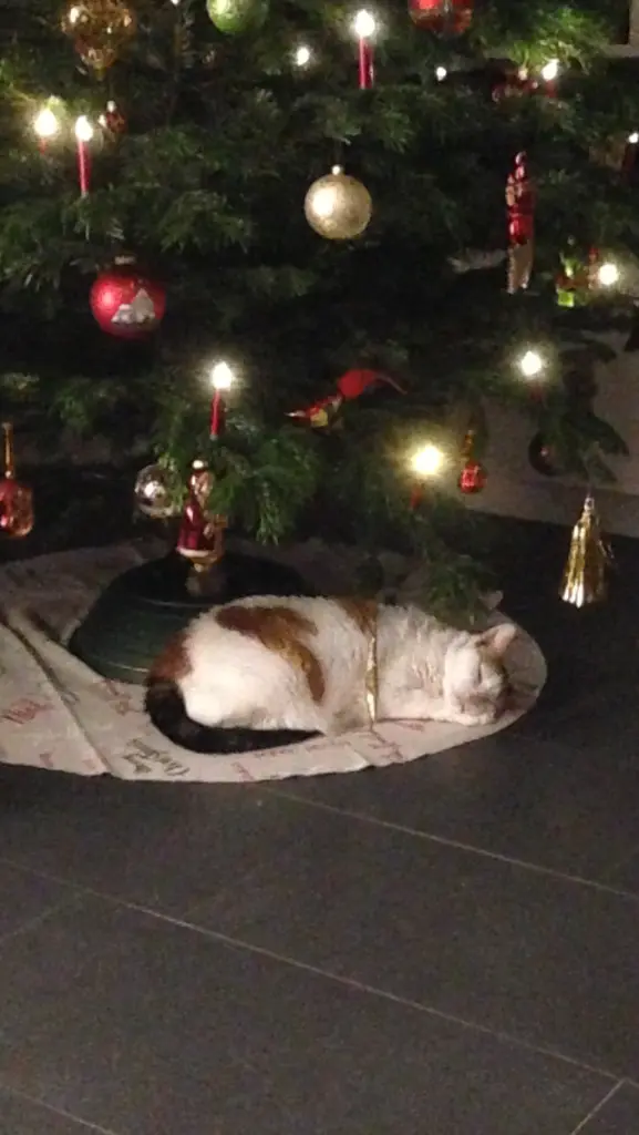 Condolence image of Jutta