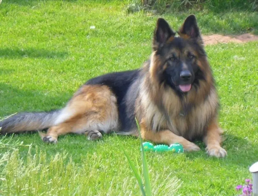 Condolence image of Birgit und Uwe 