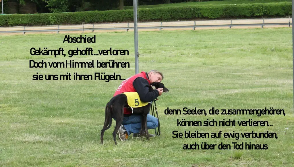 Image from Miss Harringay