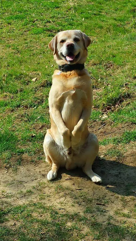 Condolence image of Sina