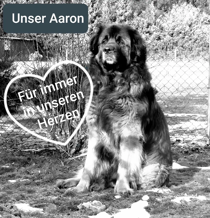 Image from Aaron