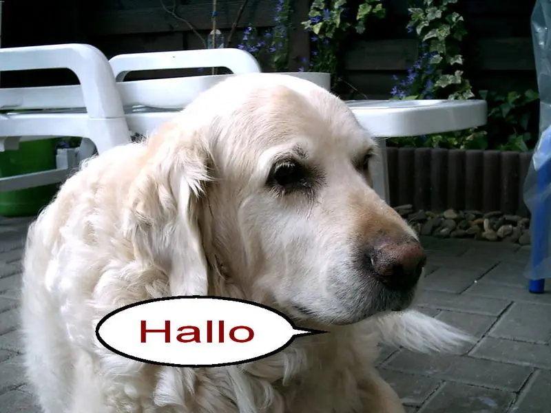 Andachtsbild von Werner Graaf