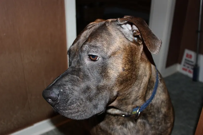 Condolence image of Frank und Anja Kaufmann