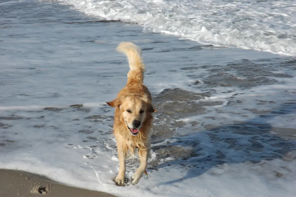 Andachtsbild von Hannelore 