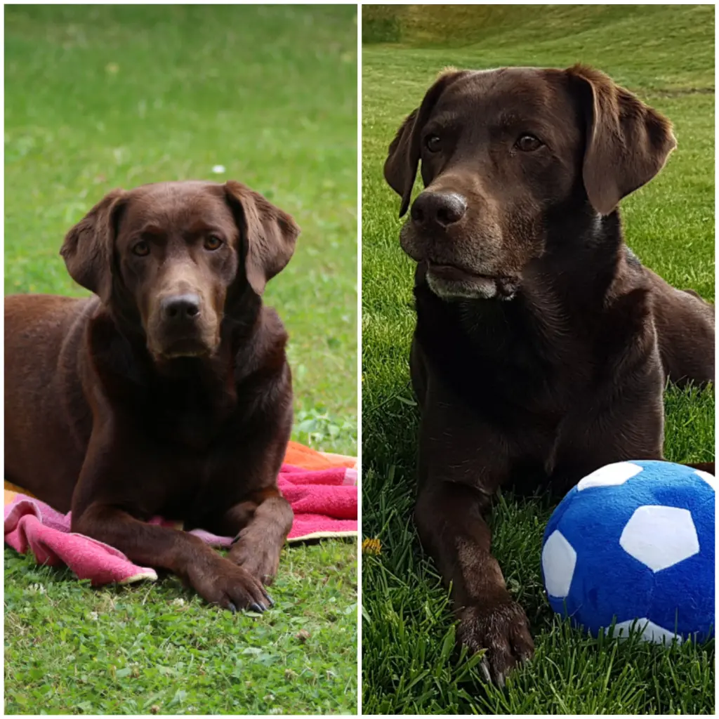 Andachtsbild von Silvana