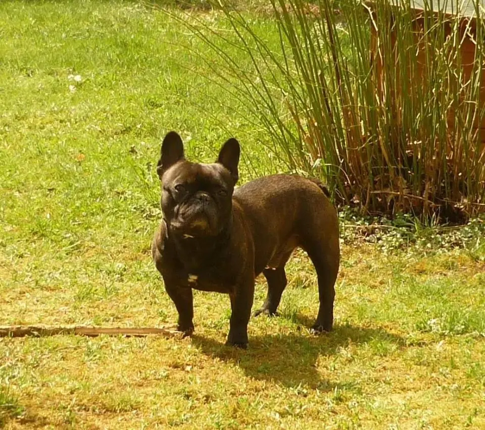 Image from Brutus