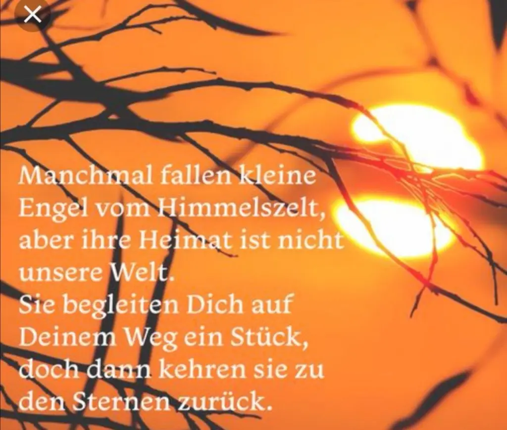 Condolence image of Paul mit "Seelenhund Spiky im Herzen"
