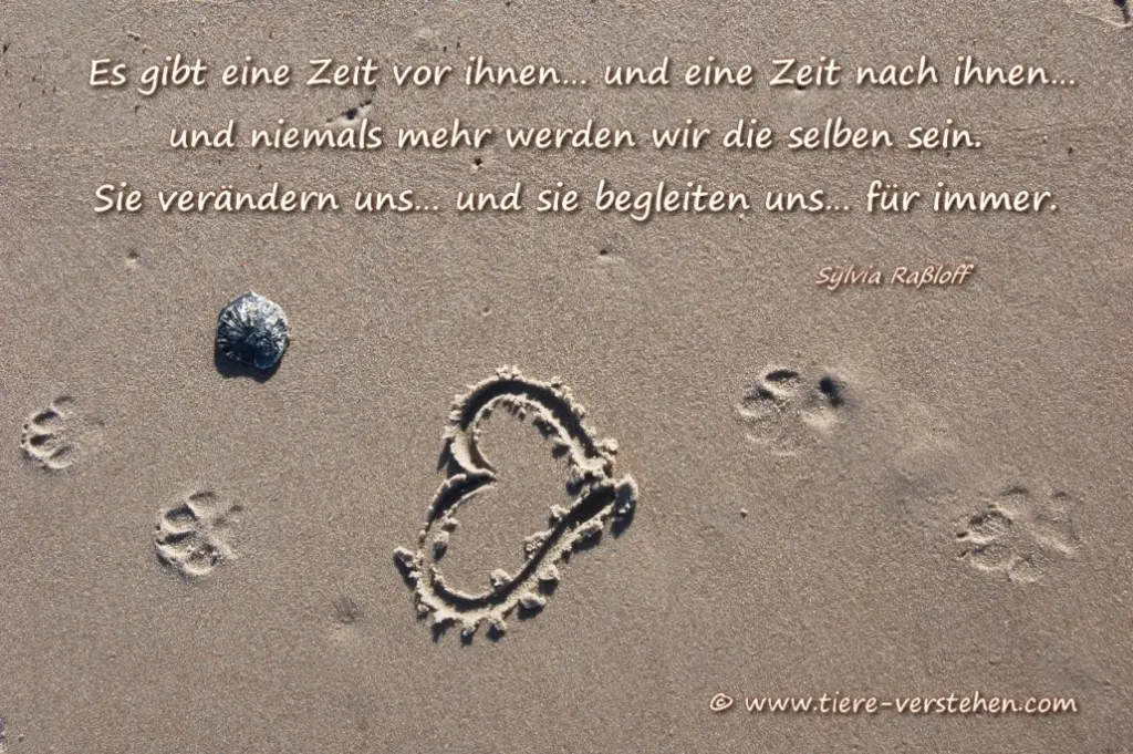 Condolence image of Paul mit "Spiky" tief im Herzen