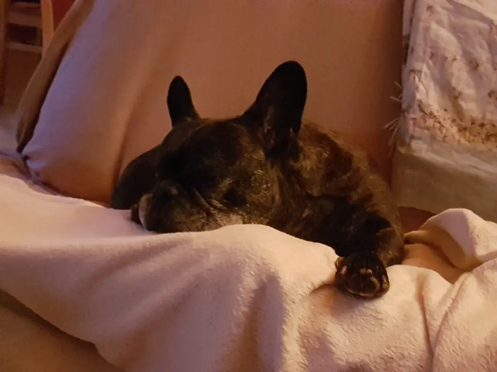 Image from Yoda