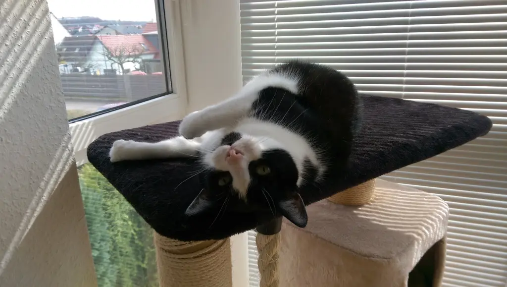 Andachtsbild von Tanja