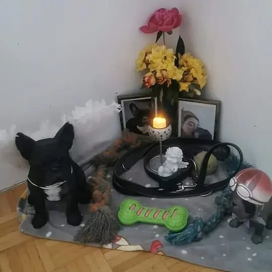 Image from Spike