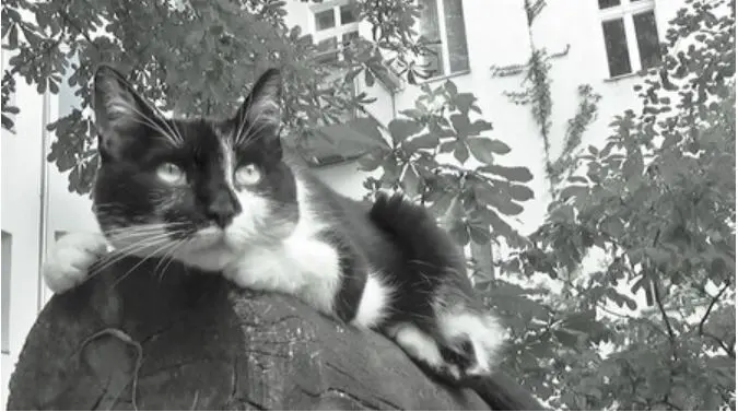 Image from Minou Kouki